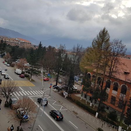 Garsoniera Mihaela Apartamento Petroşani Exterior foto