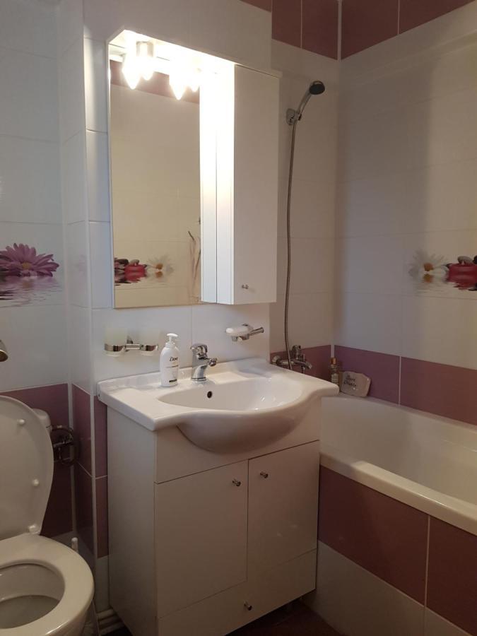 Garsoniera Mihaela Apartamento Petroşani Exterior foto