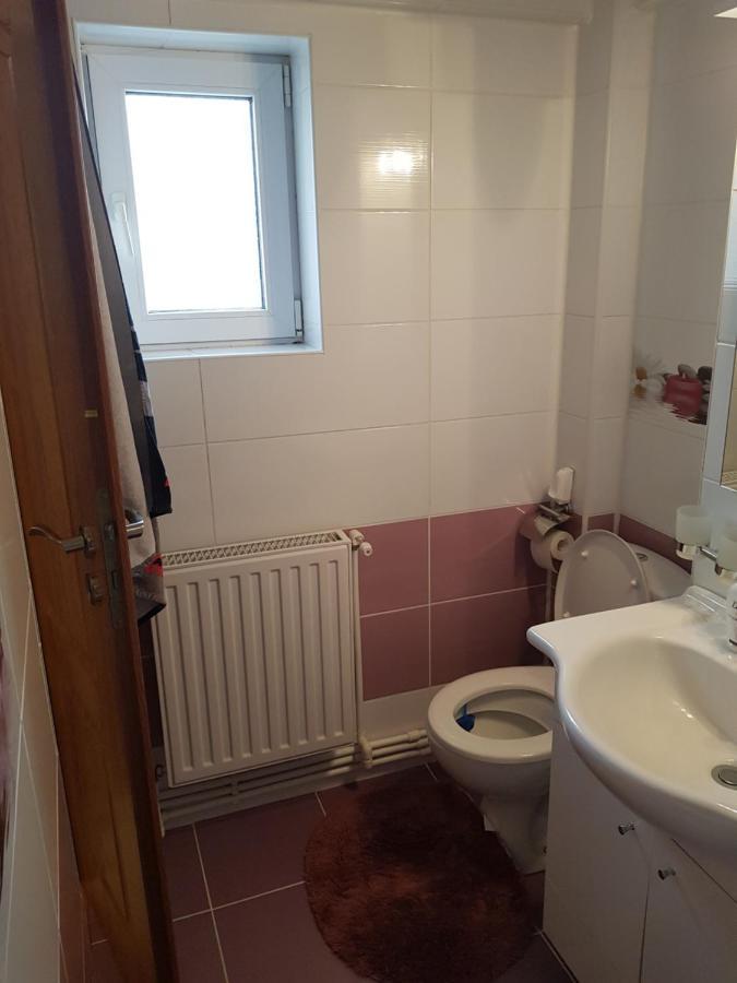 Garsoniera Mihaela Apartamento Petroşani Exterior foto