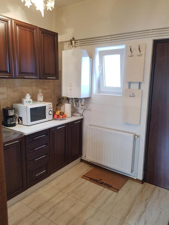 Garsoniera Mihaela Apartamento Petroşani Exterior foto