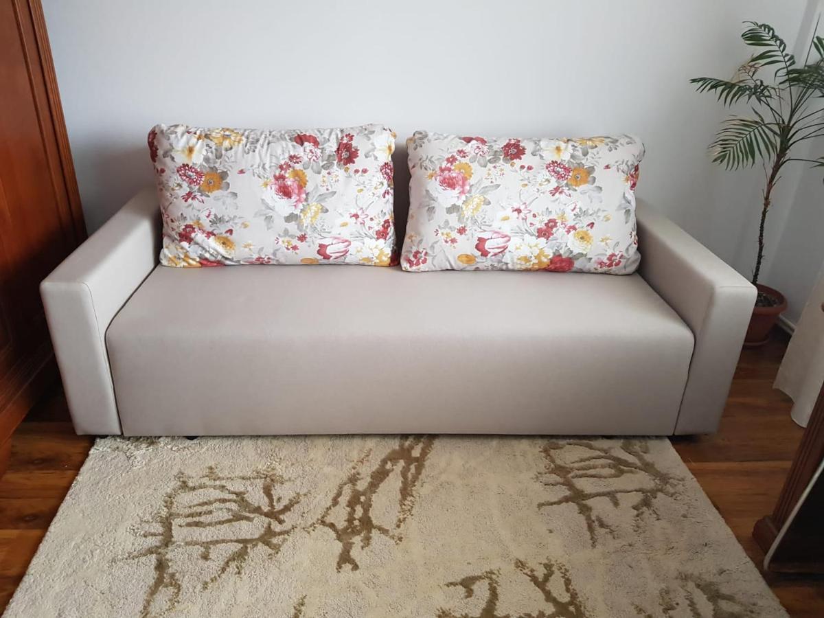 Garsoniera Mihaela Apartamento Petroşani Exterior foto
