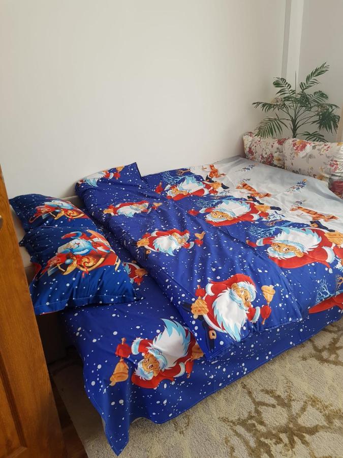 Garsoniera Mihaela Apartamento Petroşani Exterior foto