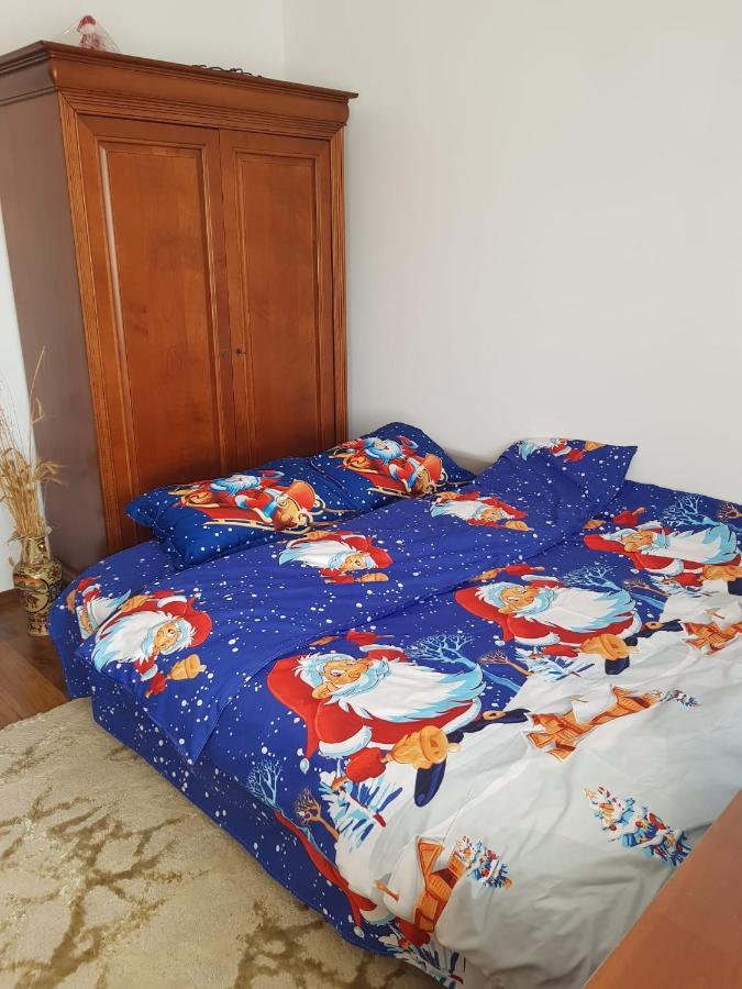 Garsoniera Mihaela Apartamento Petroşani Exterior foto