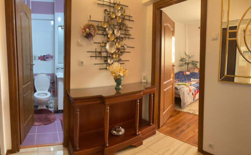 Garsoniera Mihaela Apartamento Petroşani Exterior foto